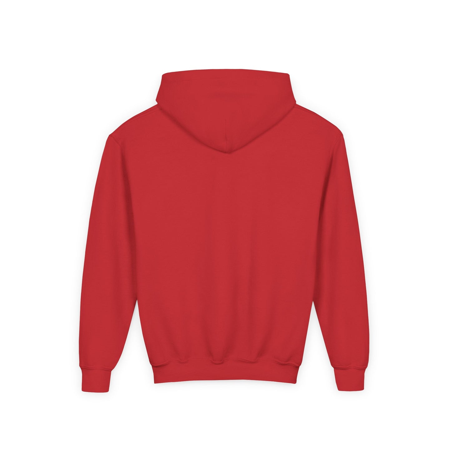 Idea School Youth Sweatshirt  Hoodie. (Youth)