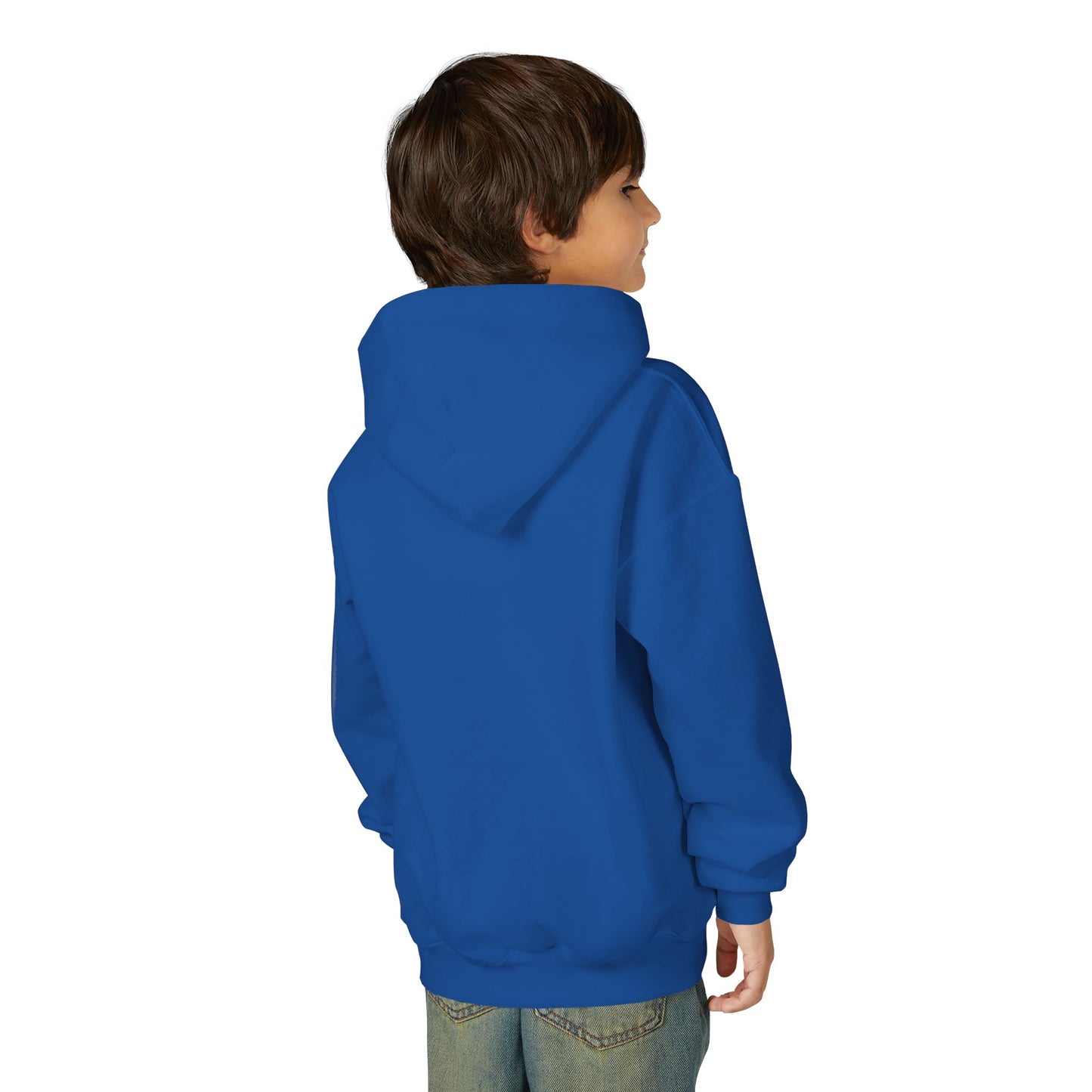 Idea School Youth Sweatshirt  Hoodie. (Youth)