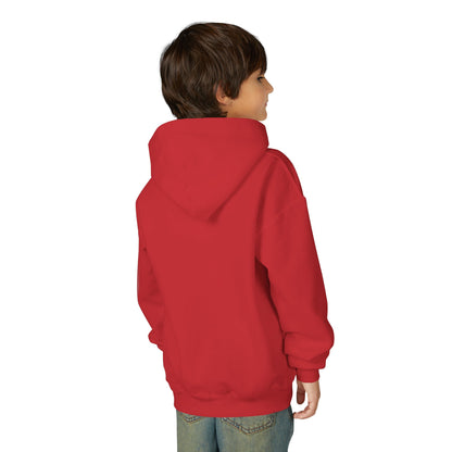 Idea School Youth Sweatshirt  Hoodie. (Youth)