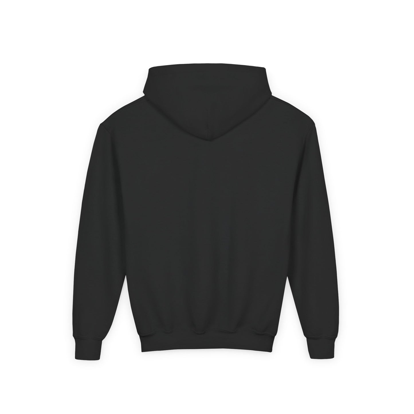 Idea School Youth Sweatshirt  Hoodie. (Youth)