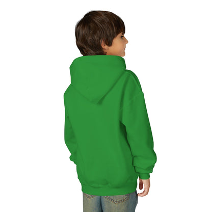 Idea School Youth Sweatshirt  Hoodie. (Youth)