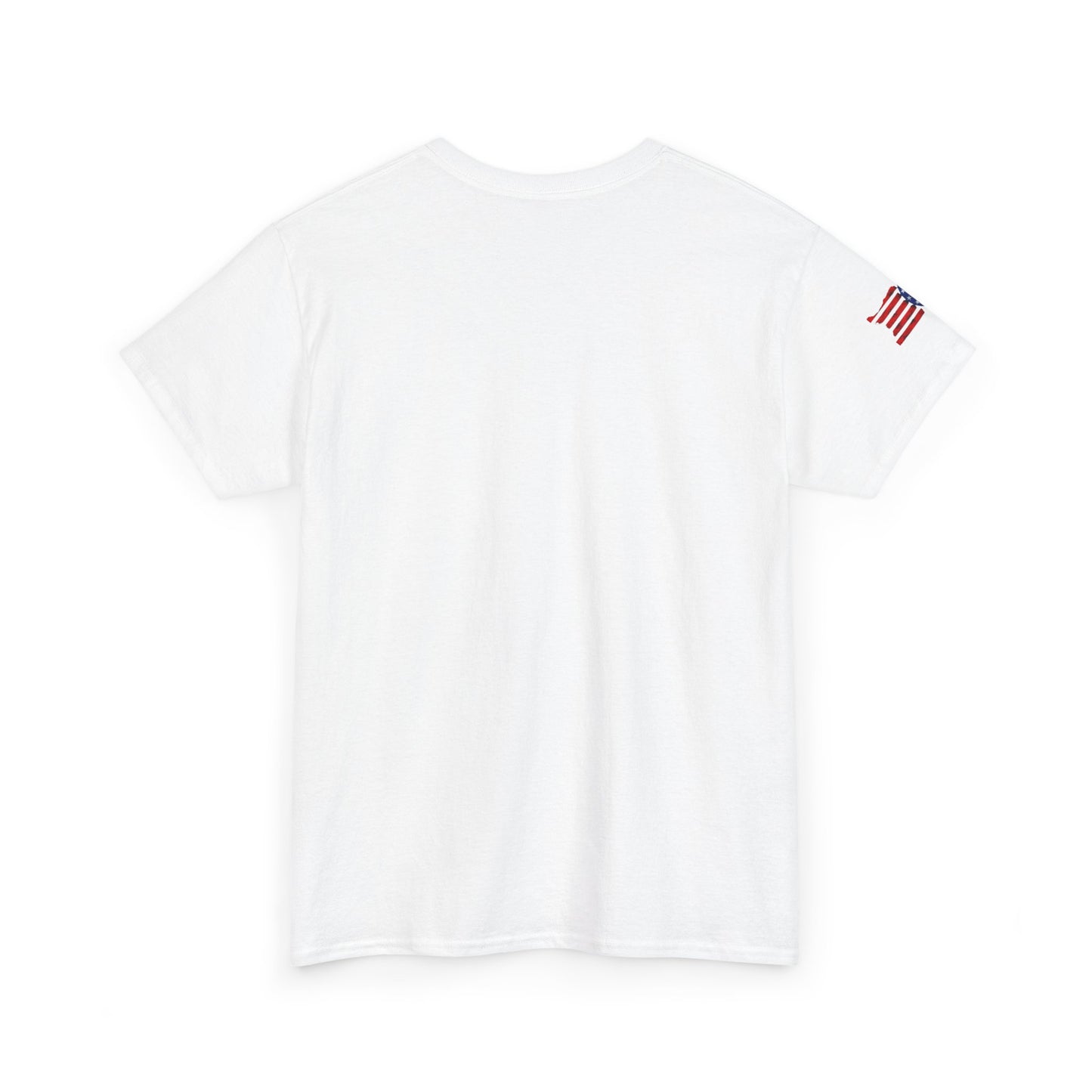 USA Olympic Graphic Tee